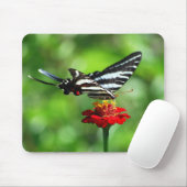 Zebra Frack Butterfly Mousepad (Mit Mouse)
