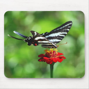 Zebra Frack Butterfly Mousepad