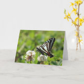 Zebra-Frack-Schmetterling Karte (Gelbe Blume)
