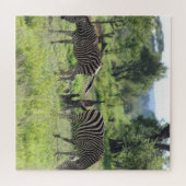 Zebra Freunde Puzzle (Horizontal)