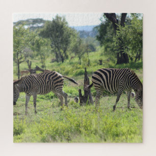 Zebra Freunde Puzzle