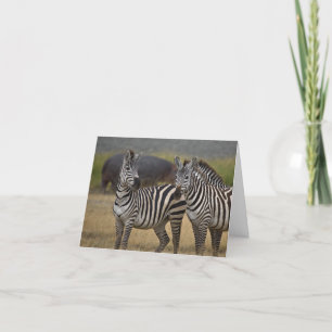 Zebra-Freundschaftskarte Karte