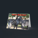 Zebra Friends Birthday Card Karte<br><div class="desc">Aus einem Foto von zwei Zebras,  die sich gegenseitig die Köpfe schrubben,  die im Zoo aufgenommen wurden.  Copyright by Brenda Thour 2010.</div>
