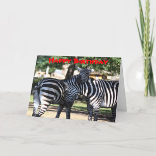 Zebra Friends Birthday Card Karte