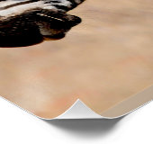 Zebra Friends Poster (Ecke)