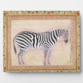 Zebra, from the Minto Album, 1621 Fotoplatte (Vorderseite)