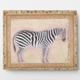 Zebra, from the Minto Album, 1621 Fotoplatte