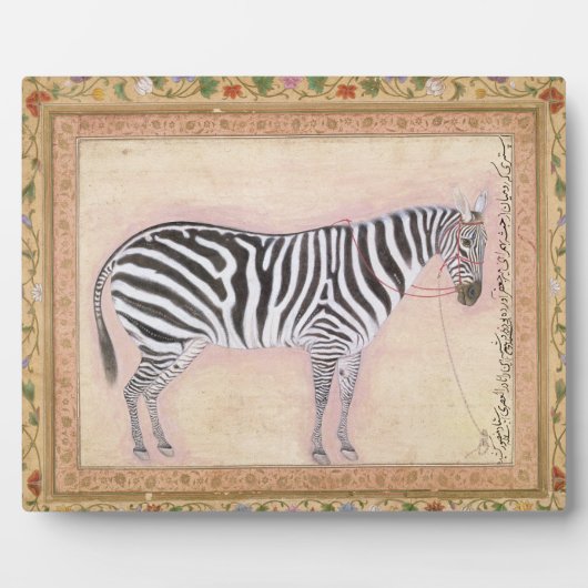 Zebra, from the Minto Album, 1621 Fotoplatte (Vorderseite)
