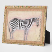 Zebra, from the Minto Album, 1621 Fotoplatte (Seite)
