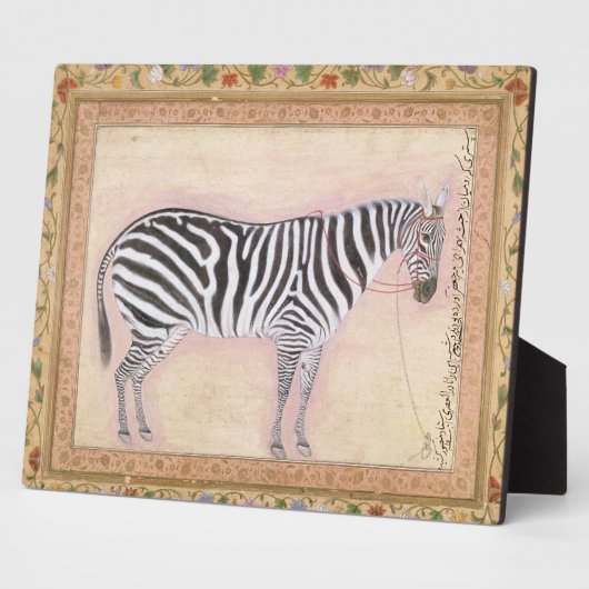 Zebra, from the Minto Album, 1621 Fotoplatte (Seite)