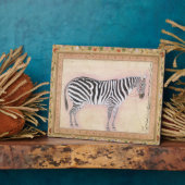 Zebra, from the Minto Album, 1621 Fotoplatte (Seite)