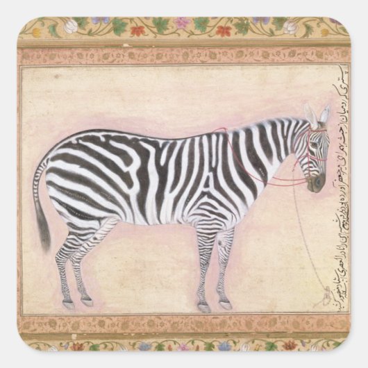 Zebra, from the Minto Album, 1621 Quadratischer Aufkleber (Vorderseite)