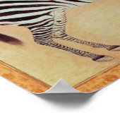 Zebra, from the "Minto Album", Mughal, 1621, Poster (Ecke)