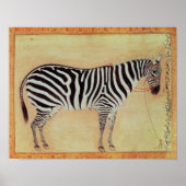 Zebra, from the "Minto Album", Mughal, 1621, Poster (Vorne)