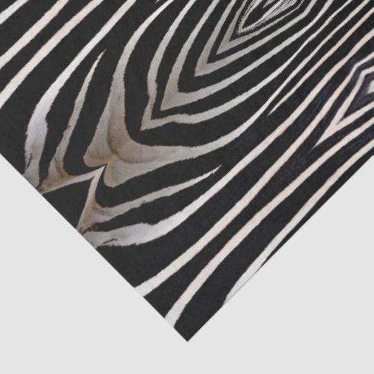 Zebra Fur Abstract Design Decoupage Seidenpapier (Ausschnitt)