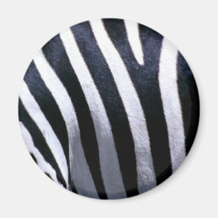 Zebra Fur Magnet