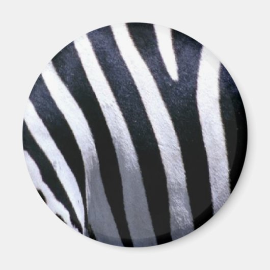 Zebra Fur Magnet (Vorne)