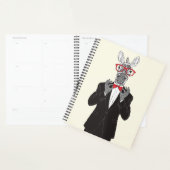 Zebra Gentleman Planer (Anzeige)