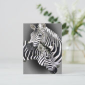 Zebra Geschenke Postkarte (Stehend Vorderseite)