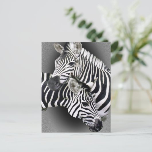 Zebra Geschenke Postkarte (Stehend Vorderseite)