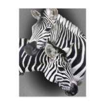 Zebra Geschenke