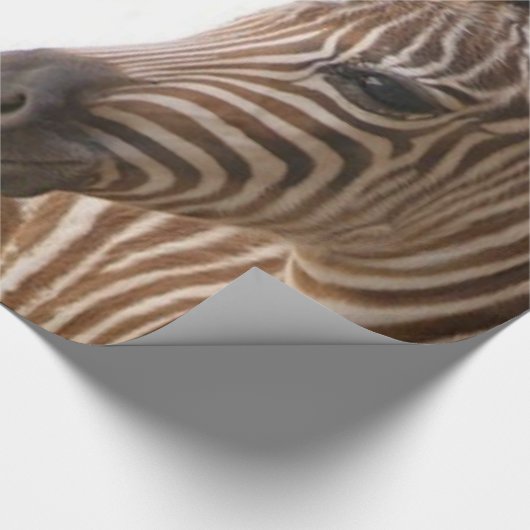 Zebra Geschenkpapier (Ecke)
