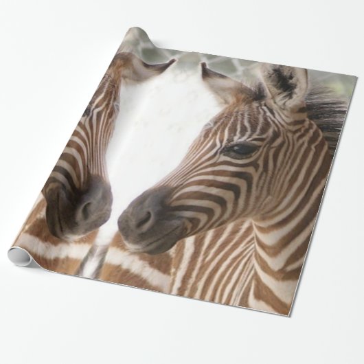 Zebra Geschenkpapier (Ungerollt)