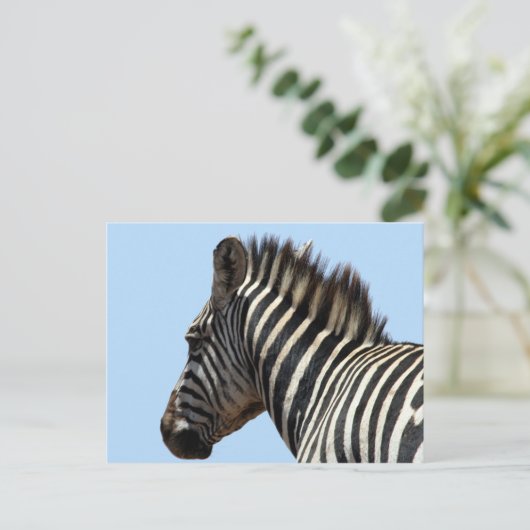 Zebra-Gesicht Postkarte (Stehend Vorderseite)