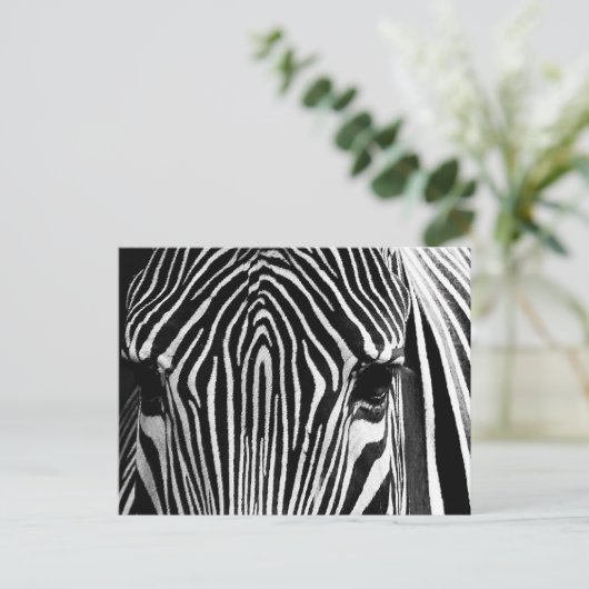 Zebra-Gesicht Postkarte (Stehend Vorderseite)