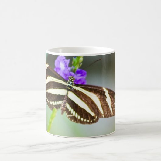 Zebra-gestreifter Schmetterling Kaffeetasse (Mittel)