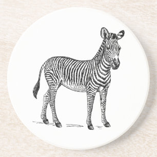 Zebra Getränkeuntersetzer