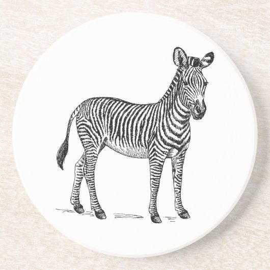 Zebra Getränkeuntersetzer (Vorne)