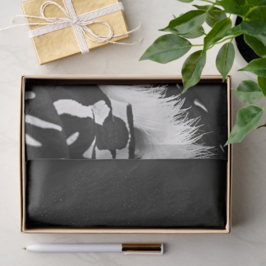 Zebra Glam Rock Star Decoupage Seidenpapier (Geschenk)