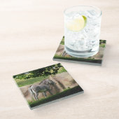 Zebra Glasuntersetzer (Schrägansicht)