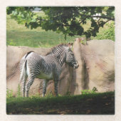 Zebra Glasuntersetzer (Vorderseite)