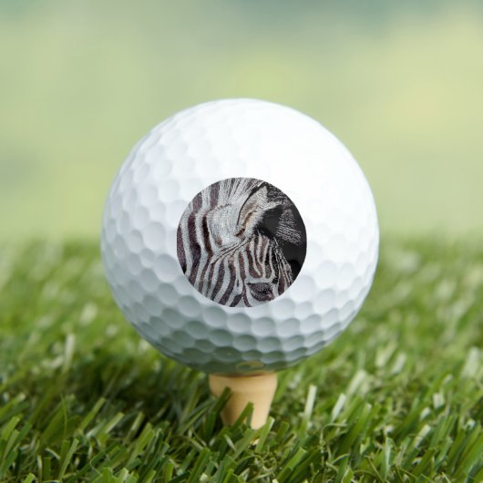 ZEBRA GOLFBALL (Insitu T-Shirt)