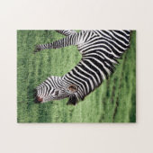 Zebra Grazing Jigsaw Puzzle (Horizontal)