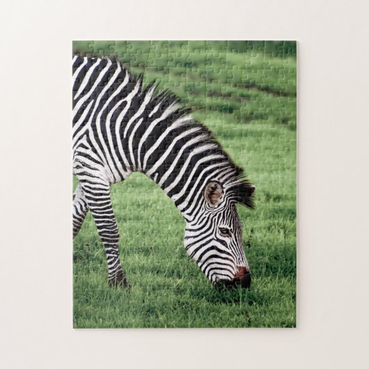 Zebra Grazing Jigsaw Puzzle (Vertikal)
