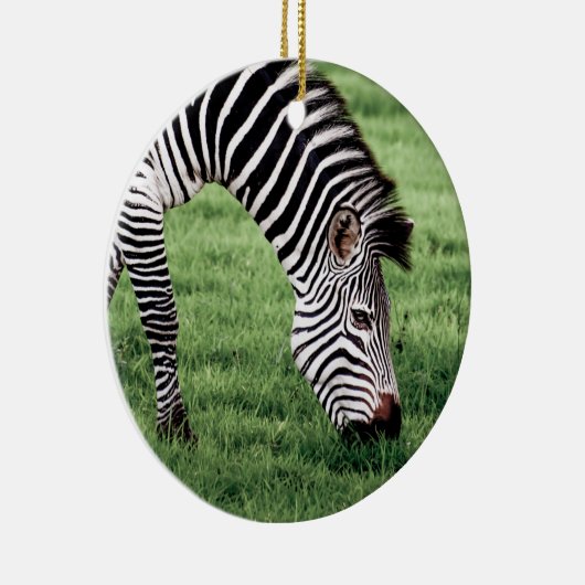 Zebra Grazing Keramik Ornament (Rechts)