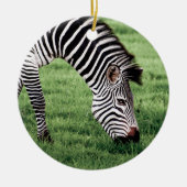 Zebra Grazing Keramik Ornament (Vorne)