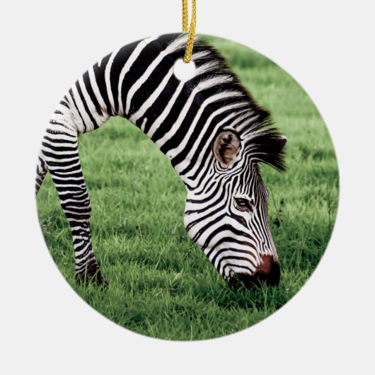 Zebra Grazing Keramik Ornament (Vorne)