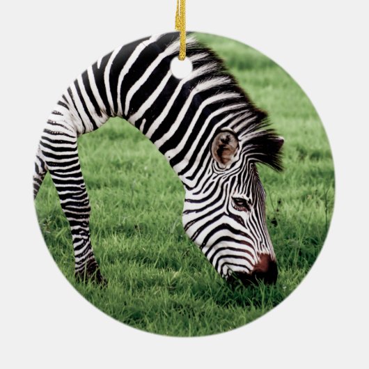 Zebra Grazing Keramik Ornament (Hinten)