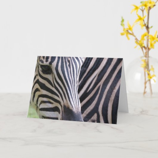 Zebra Greeting Card Karte (Gelbe Blume)