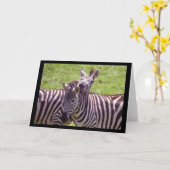 Zebra Grußkarte Karte (Gelbe Blume)