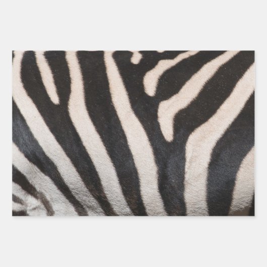 ZEBRA-HAUT GESCHENKPAPIER SET (Vorderseite 2)