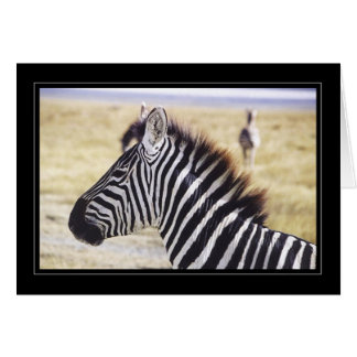 Zebra herauf nahes