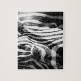 Zebra herauf nahes puzzle