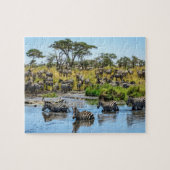 Zebra Herd im Wilden Jigsaw Puzzle (Horizontal)