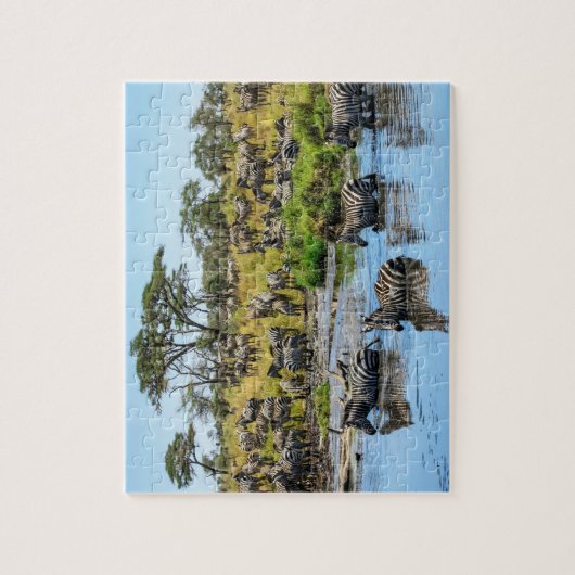 Zebra Herd im Wilden Jigsaw Puzzle (Vertikal)