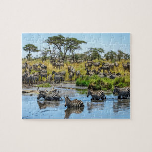 Zebra Herd im Wilden Puzzle